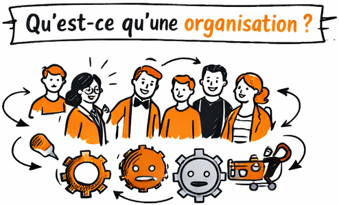 Qu'est ce qu'une organisation ?